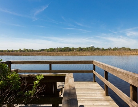 Waterfront Apartment Rentals in Charleston - Fully Furnished and All-Inclusive